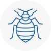 Bed Bug Extermination In Cheam